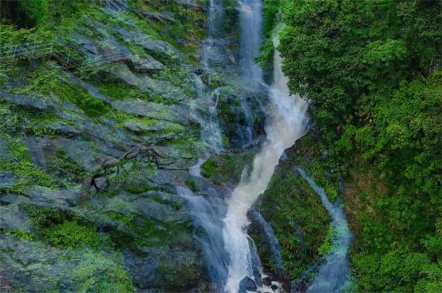 了解如何应对职场冷暴力平台,拓宽知识视野
